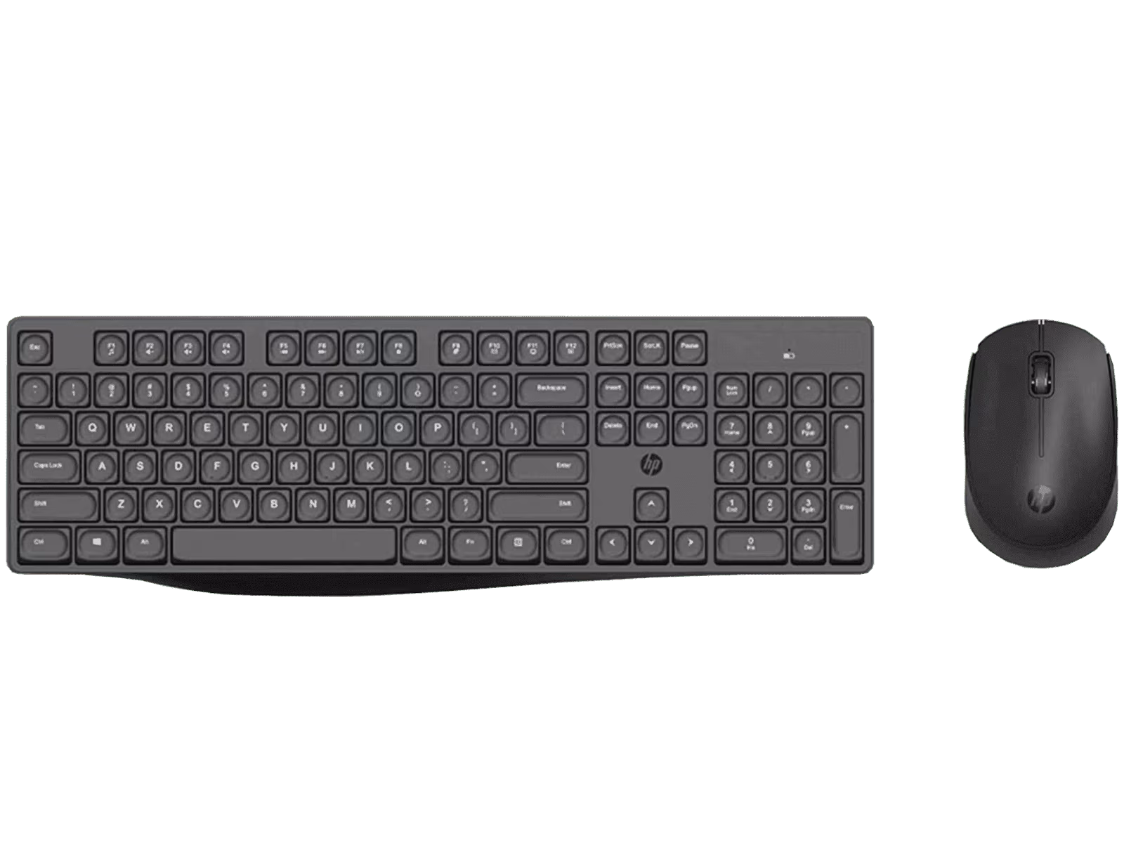 HP WIRELESS KEYBOARD CS10 COMBO